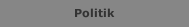 Politik